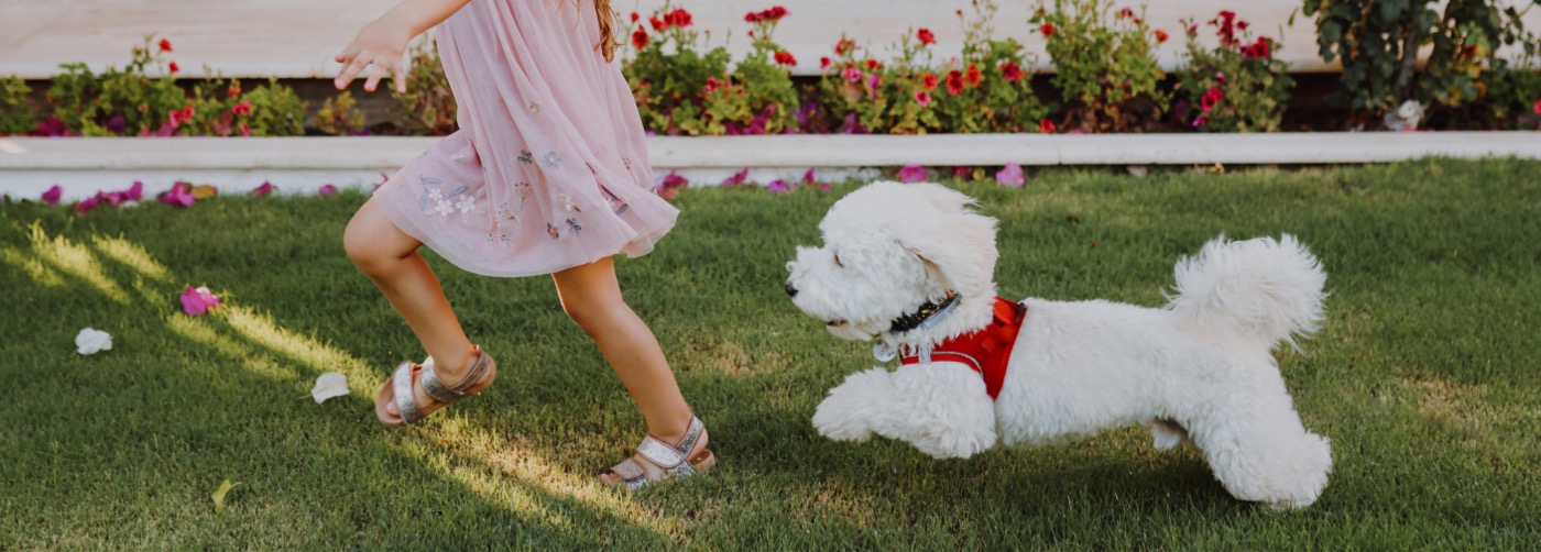 DogWatch of the Bay Area & Northern California, San Rafael, CA | Outdoor Hidden Dog Fences Slider Image